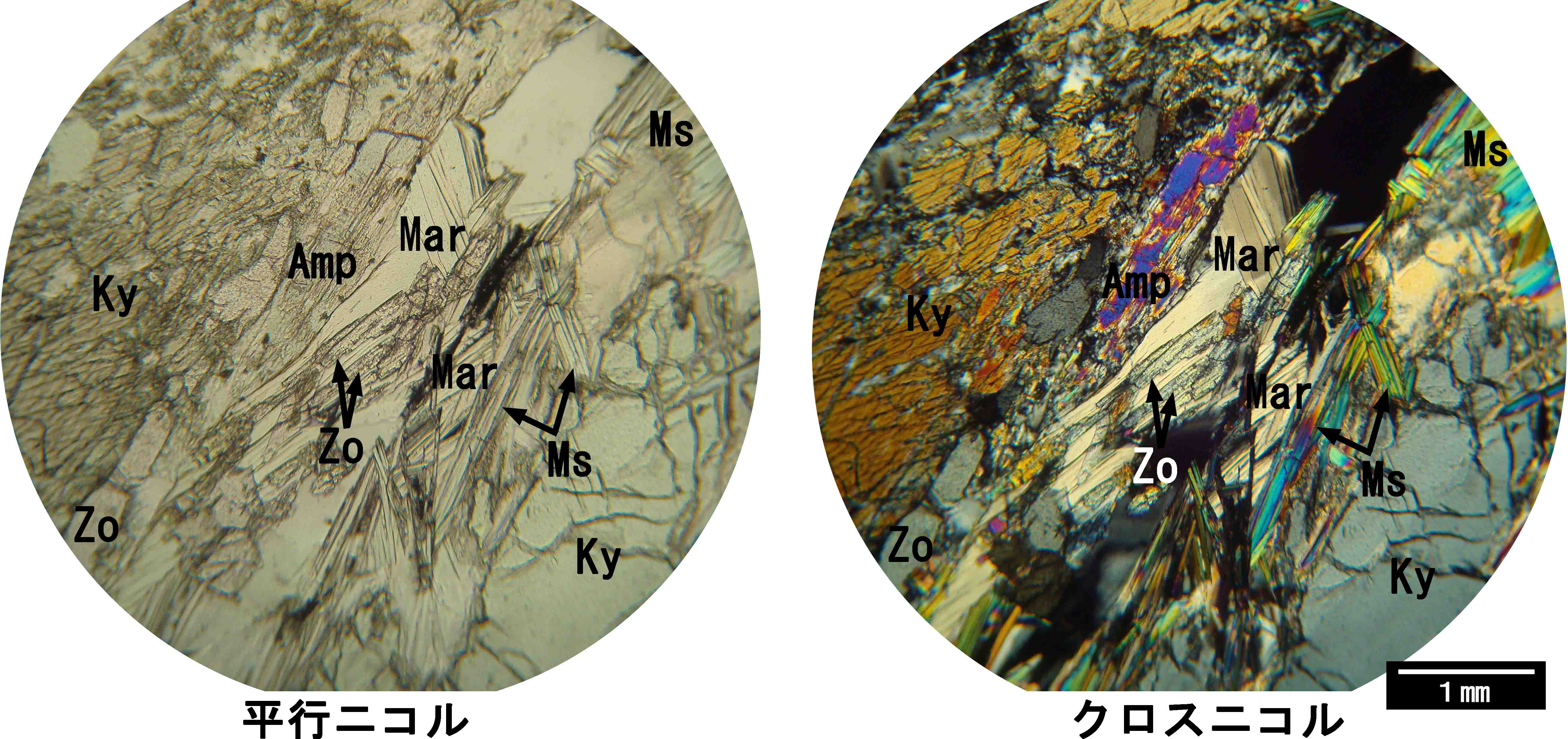 雲の真珠 481 鰯雲のバロックパール【1連40㌢】6×7ミリ 白 高品質淡水真珠